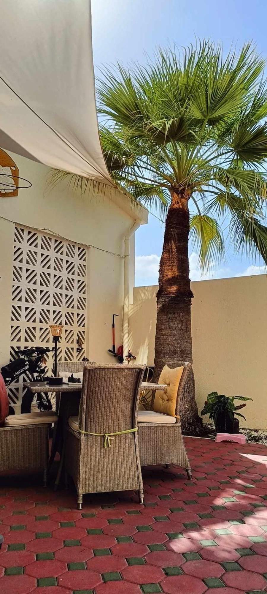 Jumeirah Beach Villa Dubái Exterior foto